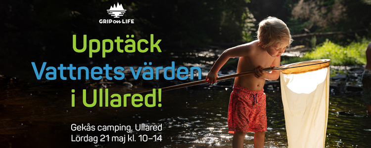 Ett barn står i badkläder i ett vattendrag och tittar nyfiket ner i sin håv. Det är sommar. Texten i bilden säger: Upptäck Vattnets värden i Ullared! GeKås camping, lördag 21 maj kl. 10-14. 