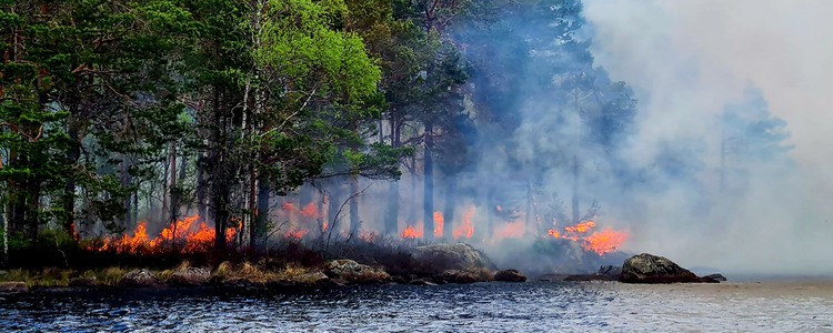Naturvårdsbränning på tre biotopskyddade öar på sjön Viksjön i Gävle kommun. Foto: John Lindström