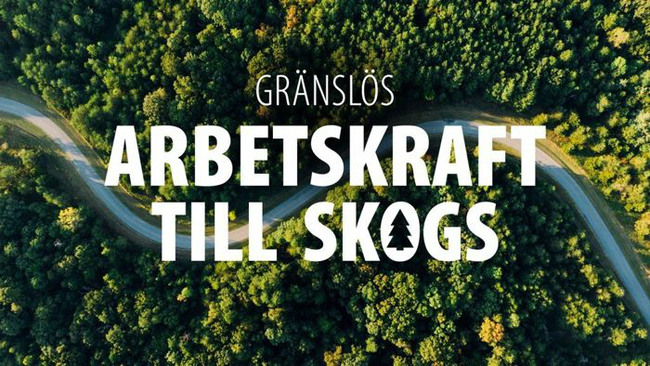 Skog med texten Gränslös arbetskraft till skogs.