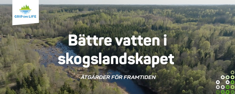 Flygbild på ett vattendrag som rinner genom en skog, samt texten "Bättre vatten i skogslandskapet - Åtgärder för framtiden". Foto: AHA Produktion
