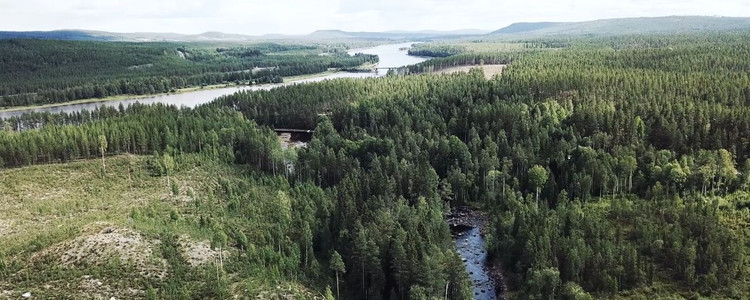 En flygbild som visar ett skogslandskap där flera vattendrag flyter fram. Foto: Bitzer Productions AB