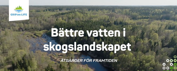 Drönarbild över ett vattendrag och skog. Texten "Bättre vatten i skogslandskapet" ligger som en rubrik i bilden. Foto: AHA Produktion