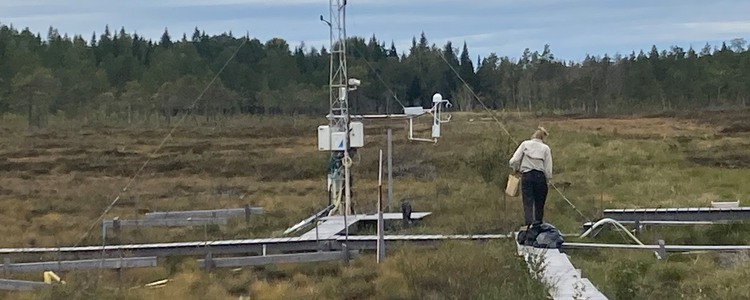 En vy över Trollbergets försöksområde, där det finns mätutrustning för växthusgaser. Foto: Maria Larsson