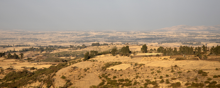 Dry landscape, Ethiopia. Foto: @ Camilla Zilo