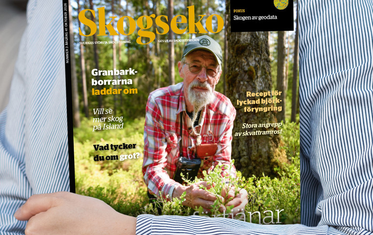 Omslag av tidningen Skogseko. Foto: InaPlavans
