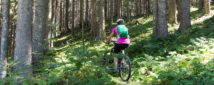 Kvinna tränar mountain bike genom skogen. Foto: Mostphotos
