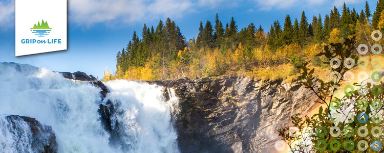 A waterfall in a northern Swedish river, its waters cascading down a cliff face on a beautiful autumn day. Foto: Hamperium.com