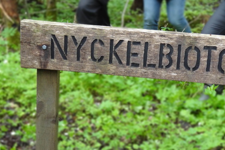 Nyckelbiotop.