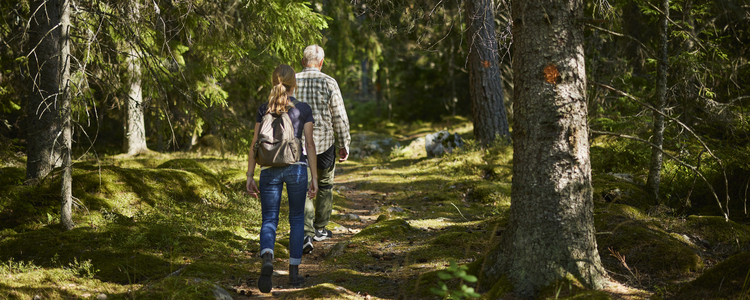 En man och en kvinna går på en skogsstig