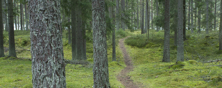 Sörmland. Foto: Michael Ekstrand