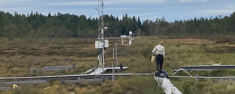 Equipment for measuring greenhouse gases in the peatland at the Trollberget Demonstration Area. Foto: Maria Larsson
