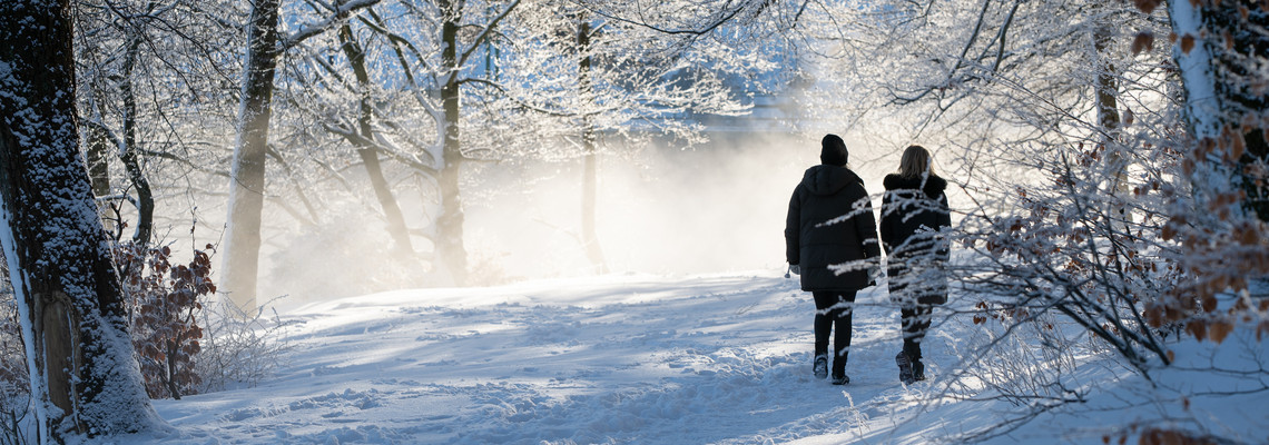 Två personer promenerar i snötäckt skog. Foto: Mostphotos