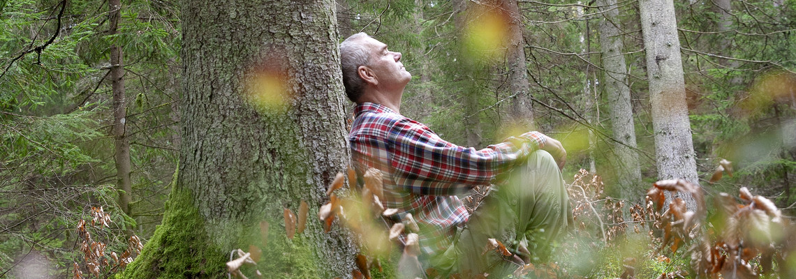 Man som sitter lutad mot en gran i skogen.  Foto: @ Camilla Zilo