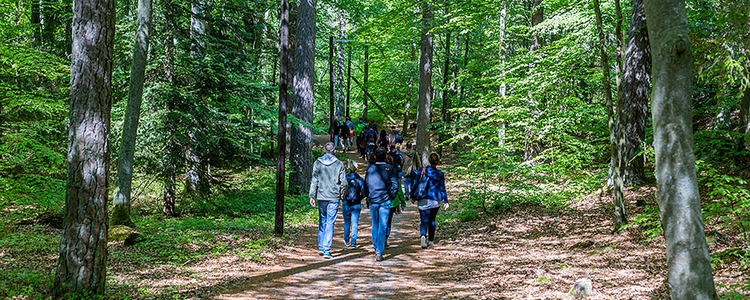 Grupp människor i Brunnsskogen. Foto: Yaman Albolbol