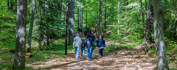 Grupp människor i Brunnsskogen. Foto: Yaman Albolbol