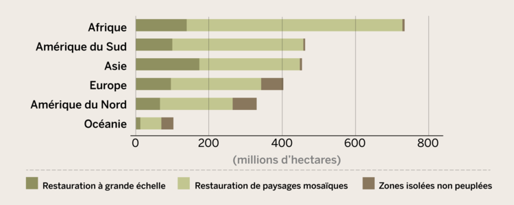 Graphique restauration