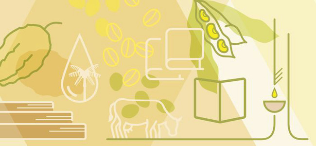 Illustration av olika produkter som omfattas av avskogningförordningen. Foto: Ann Giss