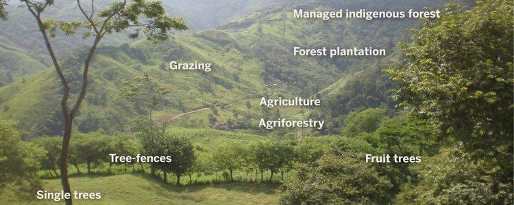 Multifunctional Landscapes and Ecosystem Service
