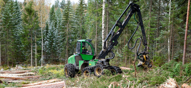 Skogsmaskin i arbete. Foto: Camilla Zilo. Foto: Camilla Zilo