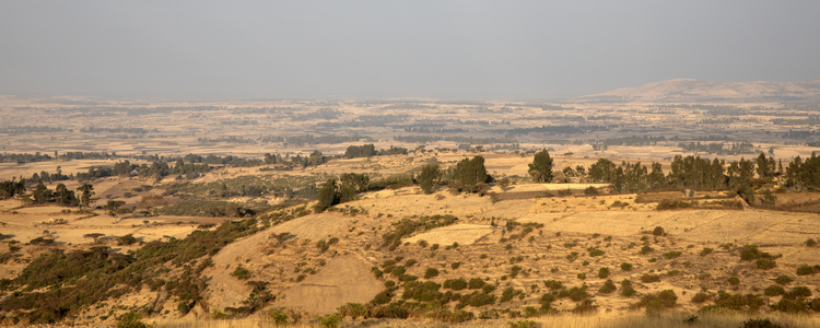 Dry landscape, Ethiopia