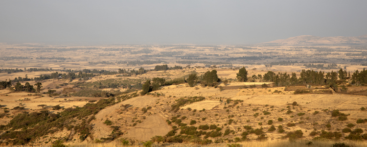 Dry landscape, Ethiopia. Foto: @ Camilla Zilo