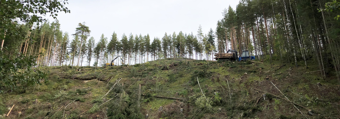 Pågående avverkning i brant erosionskänslig terräng där hänsyn tas för att minska risken för ras och skred. Foto: Nicola Karlsson