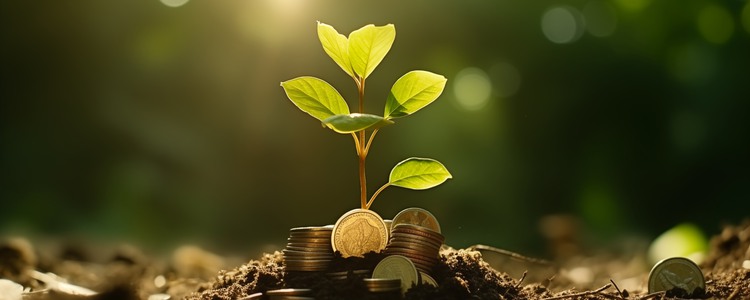 En liten planta som växer i jordmylla och mynt. Foto: Mostphotos