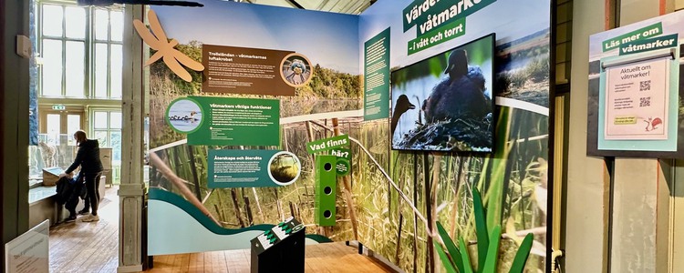 Vy över Grip on Lifes våtmarksutställning på Naturum Blekinge. Foto: Robert Ekholm