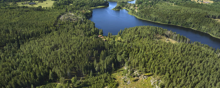Drönarbild över skog och vatten. Foto: Patrik Svedberg