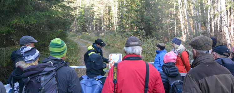 Grupp i skog.  Foto: Vilhelm von Unge