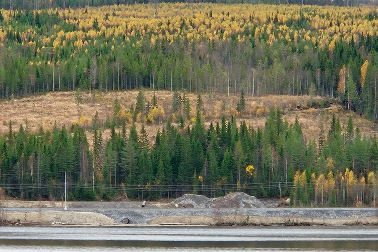 Skadad järväg efter skyfallen i Västernorrland, september 2025. Foto: Anja Lomander