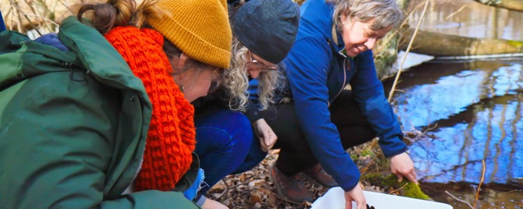 Tre kvinnor sitter vid ett vattendrag och inventerar vattnet. De har hinkar med sig.