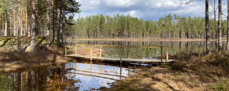 Mindre skogssjö i barrskog. En spång går över en bit av vattnet.