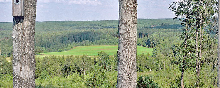 Landskap. Foto: Michael Ekstrand