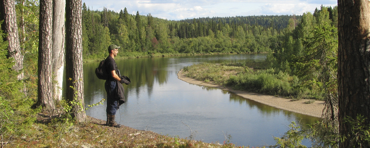 Pechorafloden i Ryssland. Foto: Kristian Svedberg