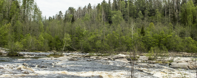 Natura 2000-vattendrag.