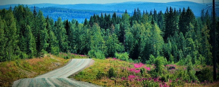 Väg i Hälsingland. Foto: Mostphotos