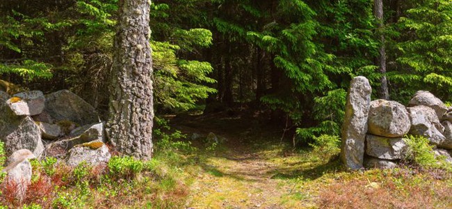 En äldre stenmur med en öppning mellan två grindstolpar. Där emellan ringlar sig en stig in mellan träden. Skogen är tät och känns mörk.