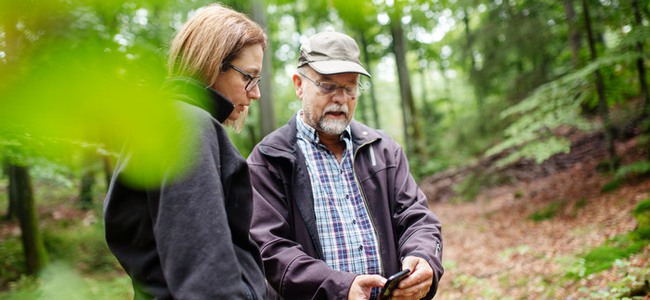 En skogskonsulent och en skogsägare tittar tillsammans på kartprogram (Field maps) i telefon omgivna av bokskog. Foto: Jenny Leyman