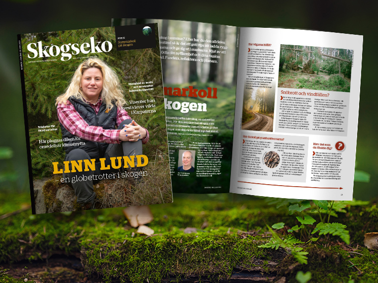 Bild på tidningen Skogseko