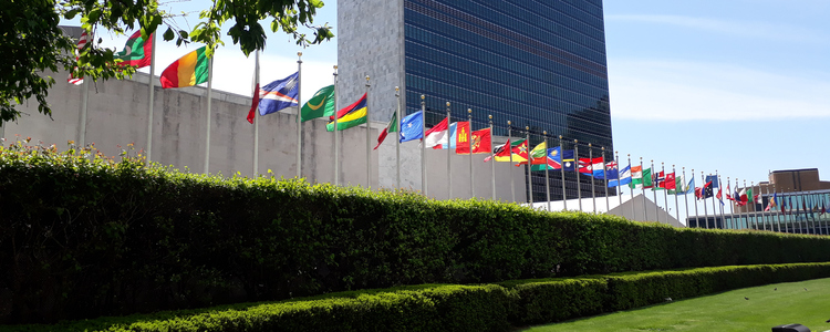 FN-skrapan i New York med alla nationsflaggor på rad utanför.