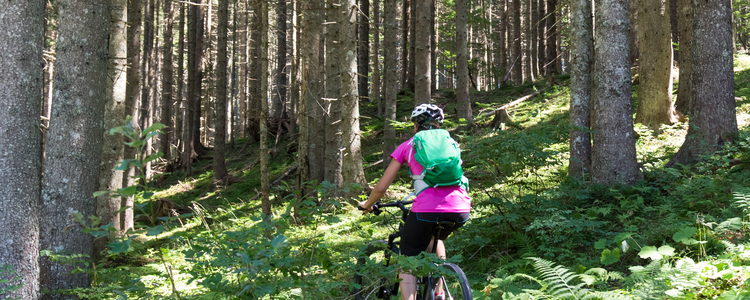 Kvinna tränar mountain bike genom skogen