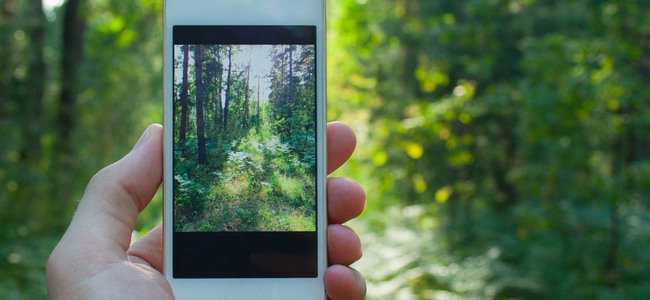 Närbild på en mobiltelefon som tar ett foto på skogen.