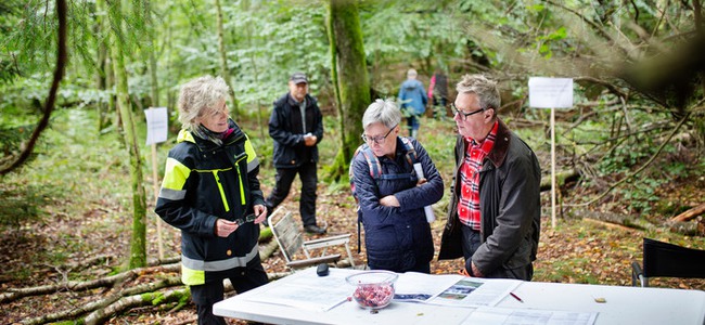 En kvinnlig skogskonsulent berättar om området för en man och kvinna som går en vandringsled i lövskogen.