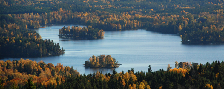 Höstlandskap. Foto: Mostphotos