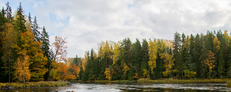 Höstfärger runt en sjö. 