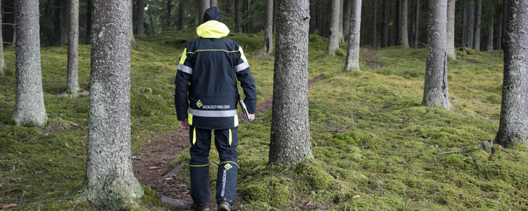 Planläggare promenerar i skogen