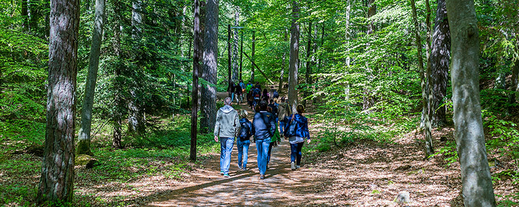 A group of people walking on a road in the forest Brunnsskogen. Foto: Yaman Albolbol