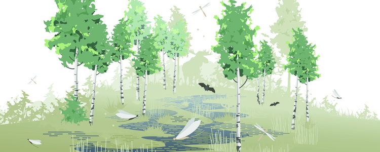 Grafisk bild på björkar i våtmark och med trollsländor och fladdermöss som flyger  omkring.