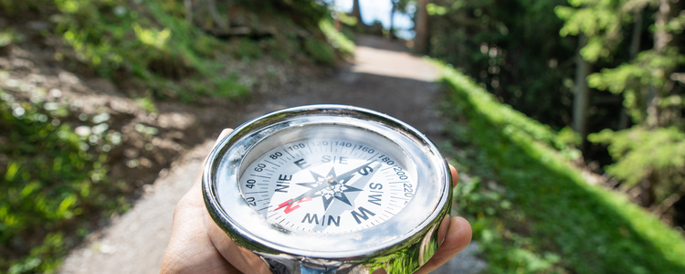 A hand holding a compass by a forest road. Foto: Andrey Popov Mostphotos